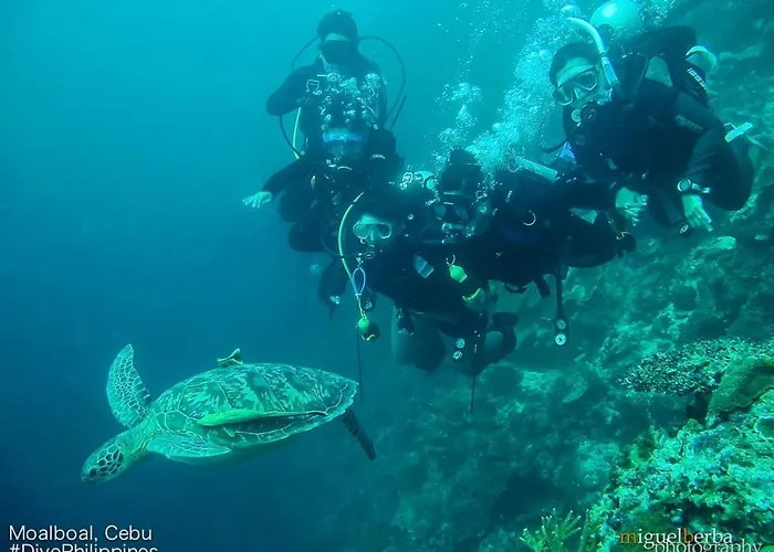 Asian Belgian Dive Курортный комплекс Моалбоал